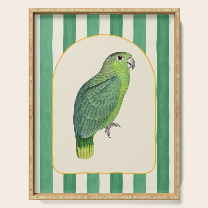 Flamboyant Parrot Serving Tray Gallery Image 1