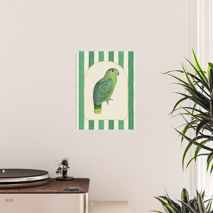 Flamboyant Parrot Poster Gallery Image 2