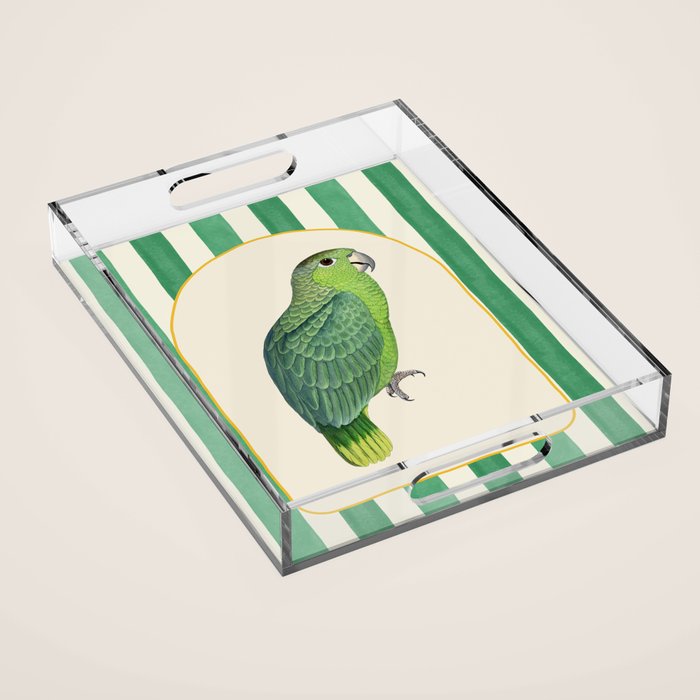 Flamboyant Parrot Acrylic Tray Gallery Image 1