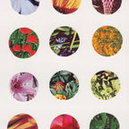 Floral Circles / Paper Pattern Coffee Mug Gallery Image 2