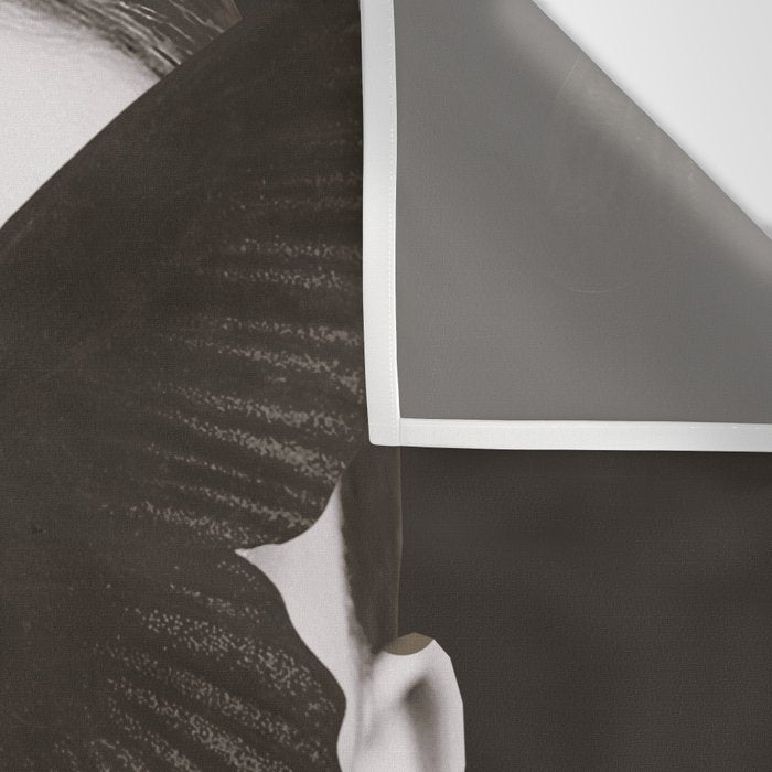 BLACK BUTTERFLY 3 Wall Tapestry Gallery Image 3