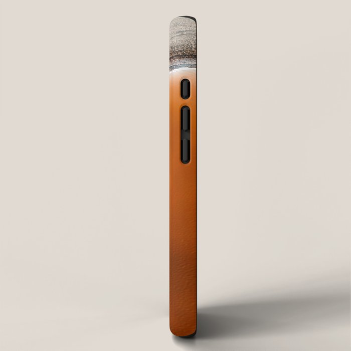 Red Pond in the Baja Desert vol. 1 iPhone Case Gallery Image 2