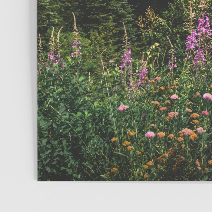Mount Rainier Wildflower Adventure - National Park Wanderlust Poster Gallery Image 3