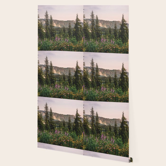 Mount Rainier Wildflower Adventure - National Park Wanderlust Wallpaper Gallery Image 2
