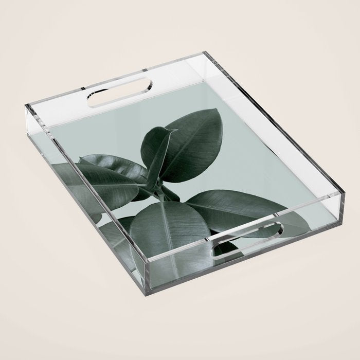 Decorum II Acrylic Tray Gallery Image 1