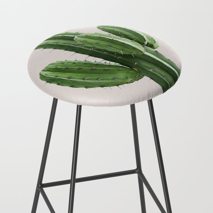 Cactus 4 Stool Gallery Image 2