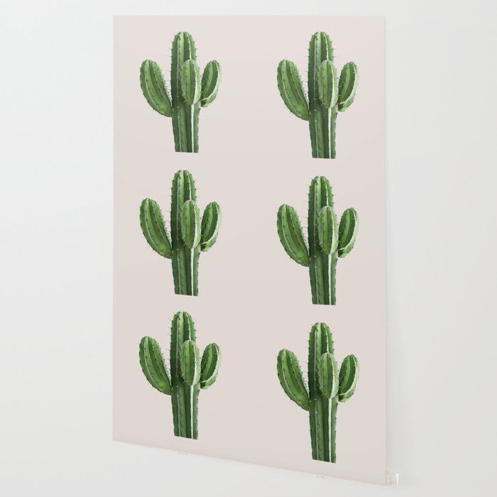 Cactus 4 Wallpaper Gallery Image 2