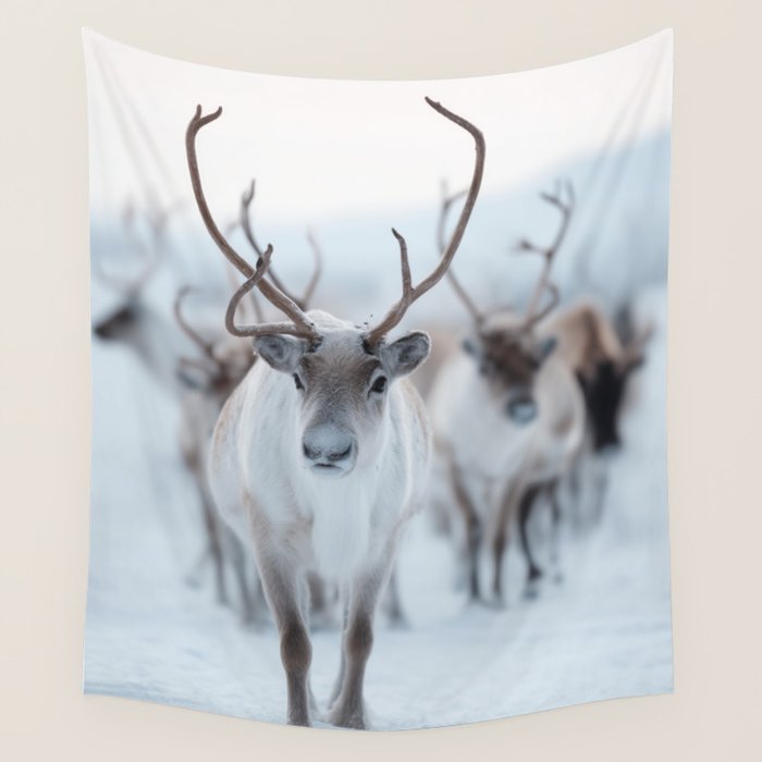 Reindeer in the Snow - Nordic Wildlife Photography Print Wall Tapestry Gallery Image 4