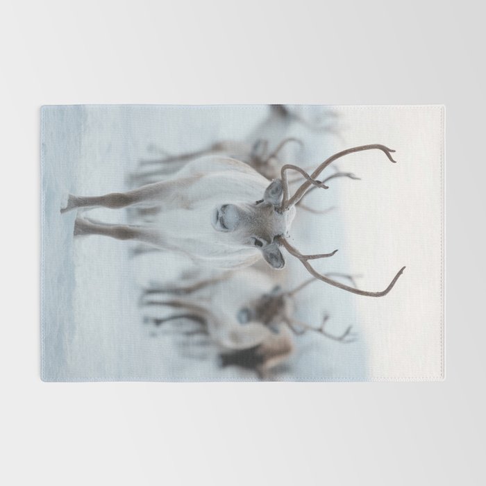 Reindeer in the Snow - Nordic Wildlife Photography Print Rug Gallery Image 2