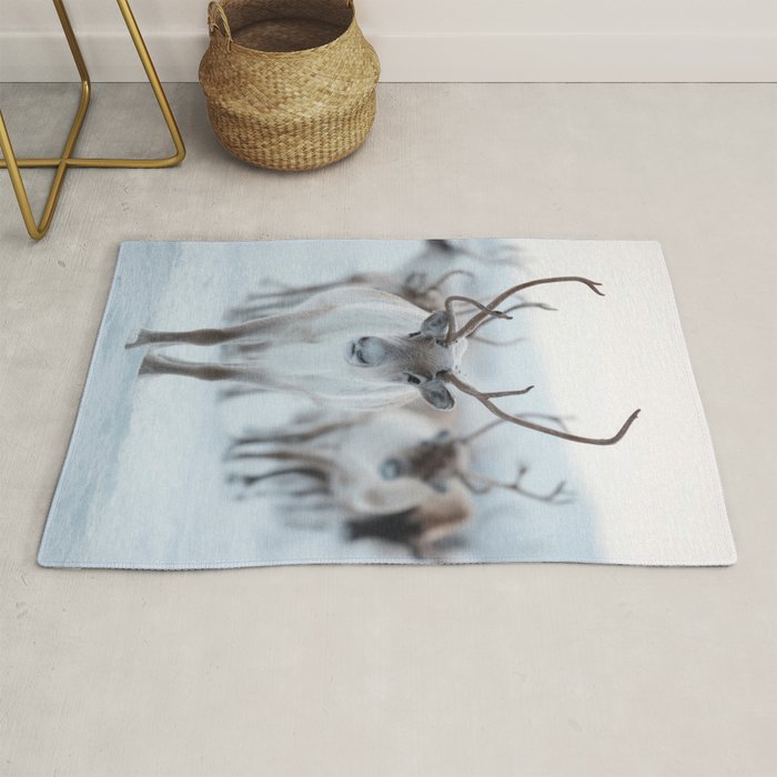 Reindeer in the Snow - Nordic Wildlife Photography Print Rug Gallery Image 1