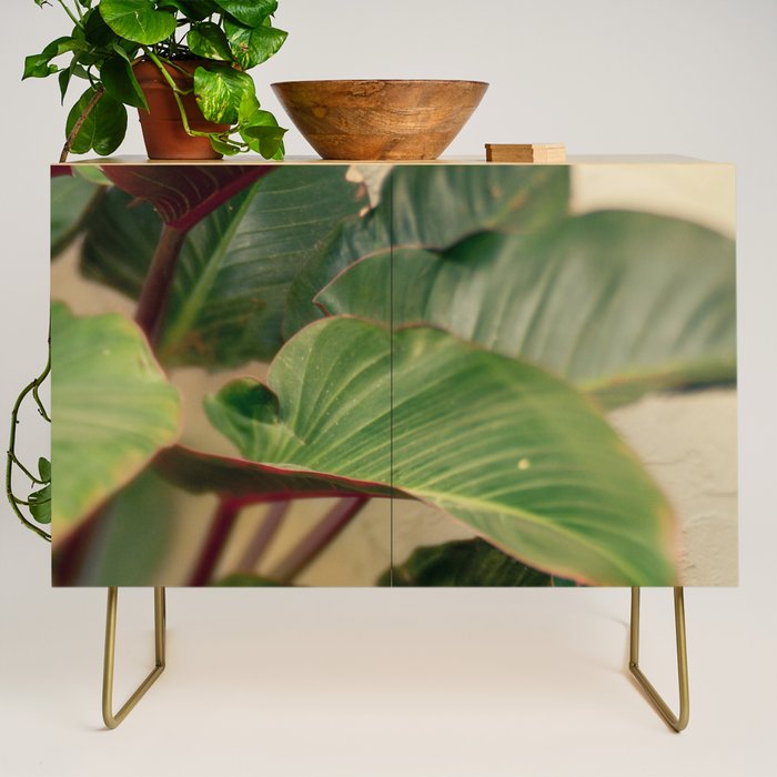 Collective Credenza Gallery Image 1