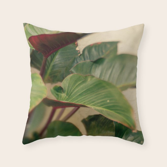 Collective Throw Pillow Gallery Image 6