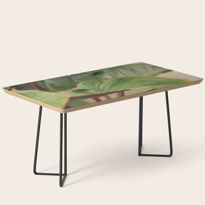 Collective Coffee Table Gallery Image 1