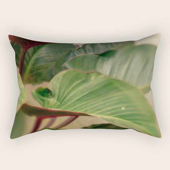Collective Rectangular Pillow Gallery Image 1