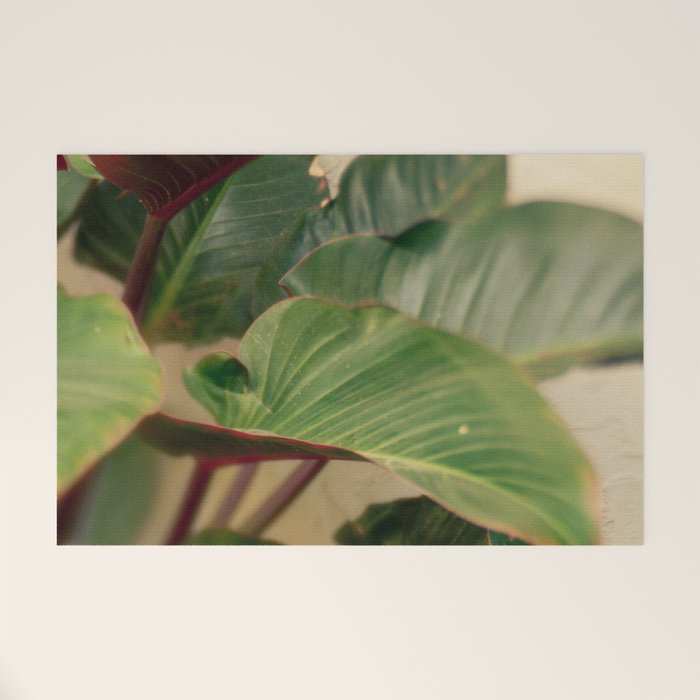 Collective Welcome Mat Gallery Image 1