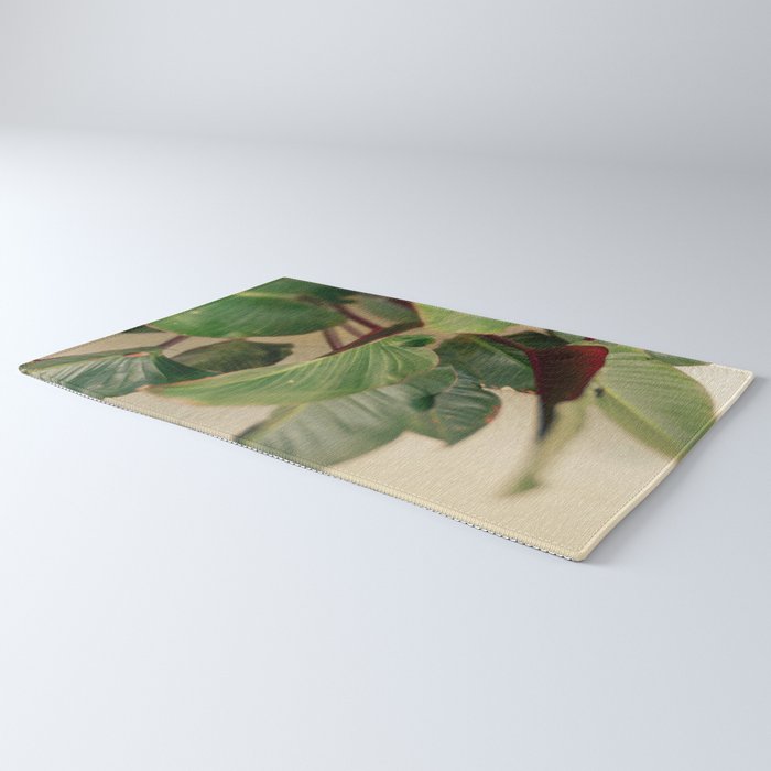 Collective Rug Gallery Image 3