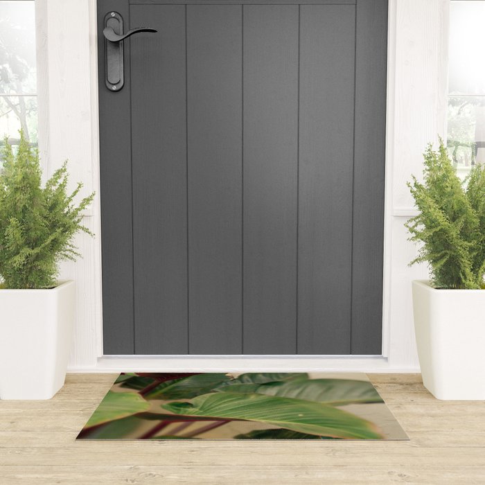 Collective Welcome Mat Gallery Image 3