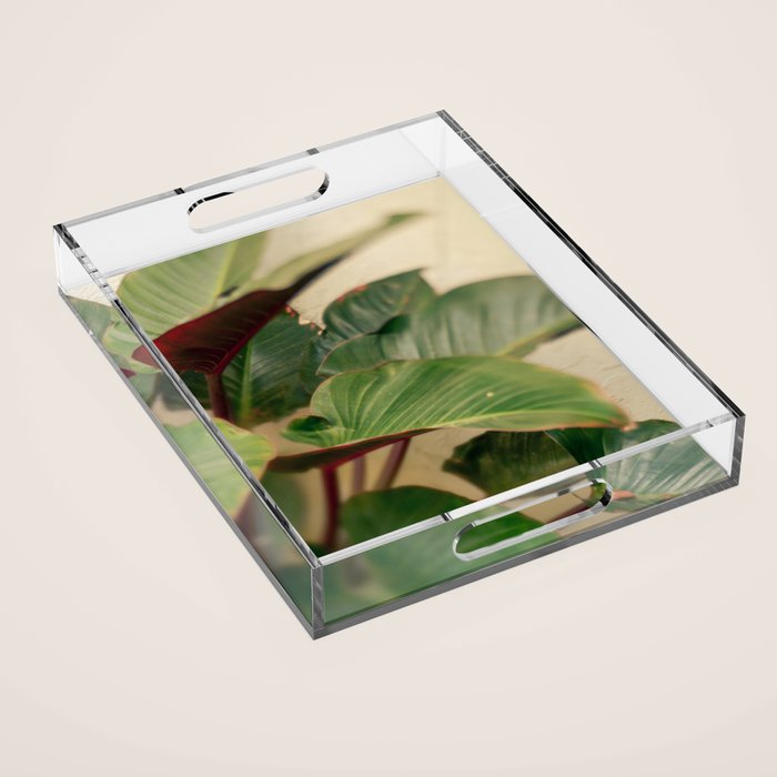 Collective Acrylic Tray Gallery Image 1