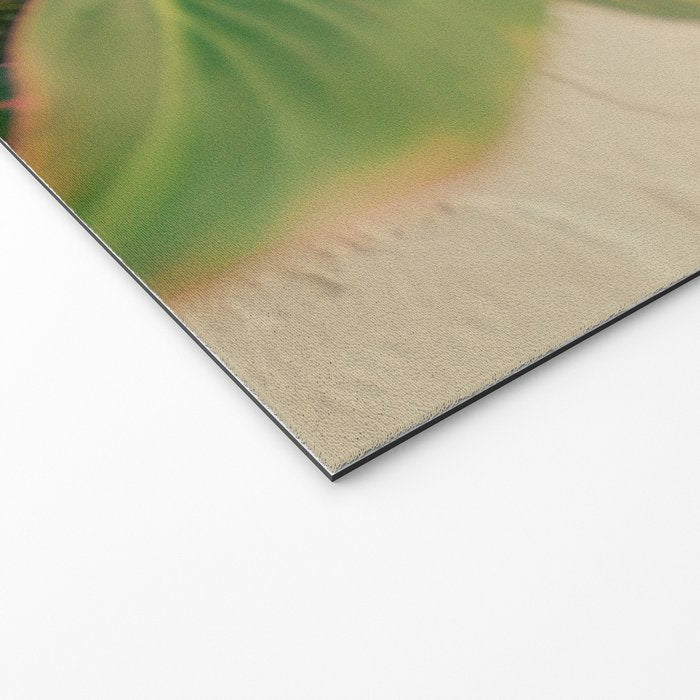 Collective Welcome Mat Gallery Image 2
