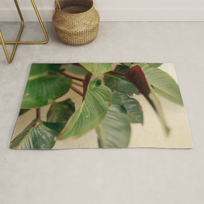 Collective Rug Gallery Image 1
