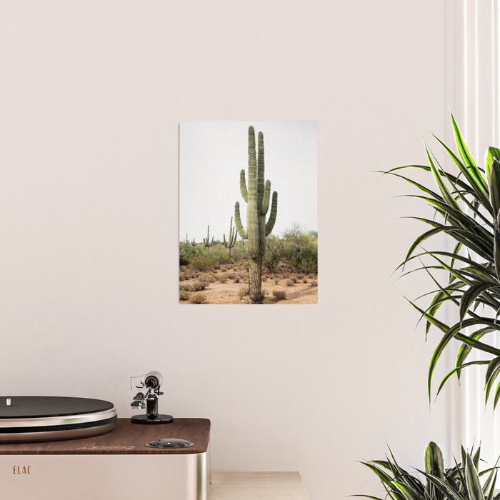 Arizona's Cactus Poster Gallery Image 2