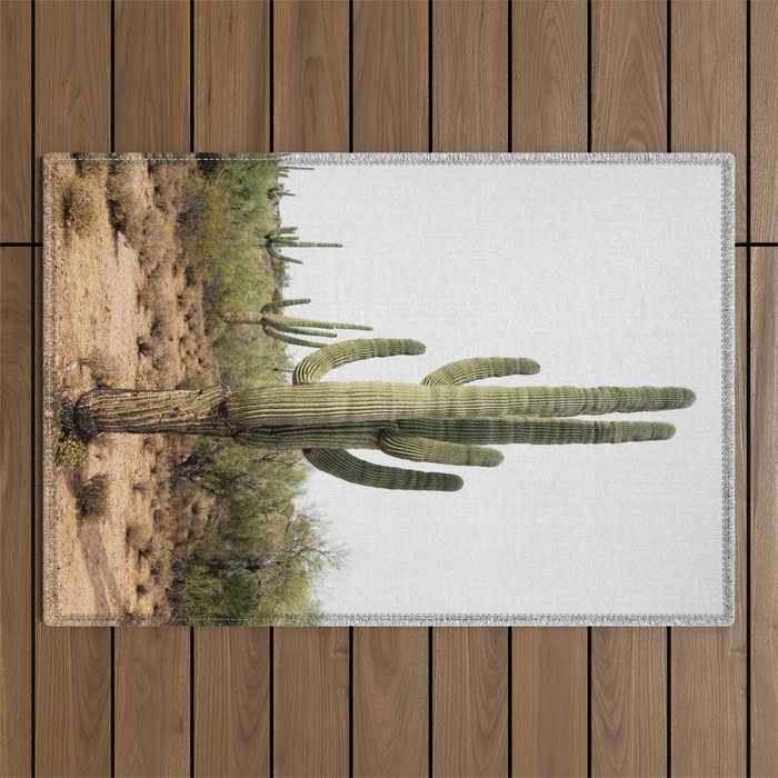 Arizona's Cactus Outdoor Rug Gallery Image 1