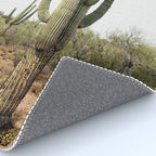 Arizona's Cactus Rug Gallery Image 4