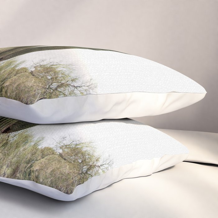 Arizona's Cactus Pillow Sham Gallery Image 3