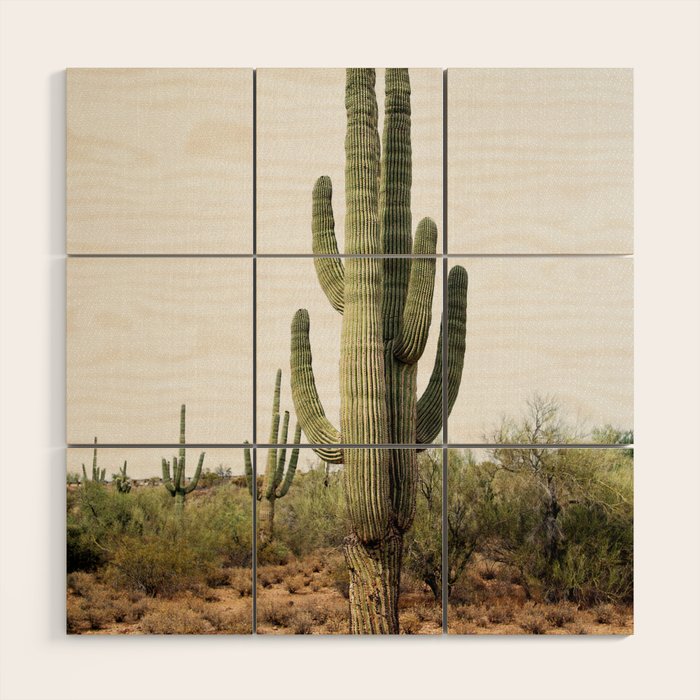 Arizona's Cactus Wood Wall Art Gallery Image 1