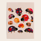 Lady beetles Poster Gallery Image 4