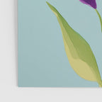 Sun-Kissed Iris Poster Gallery Image 3