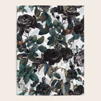 Roses in the Dark Poster Gallery Image 4