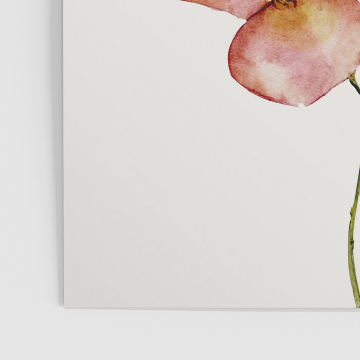 Soft Flowers Poster Gallery Image 3