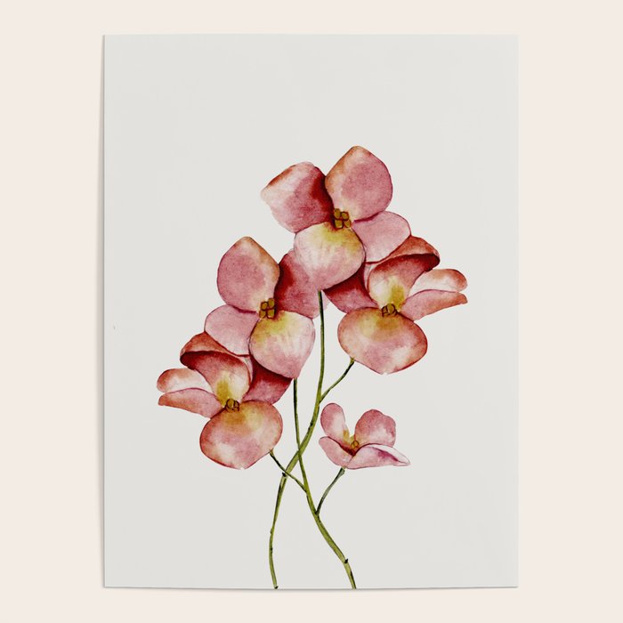 Soft Flowers Poster Gallery Image 4