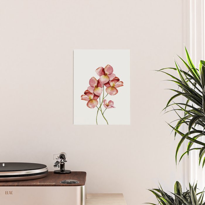 Soft Flowers Poster Gallery Image 2