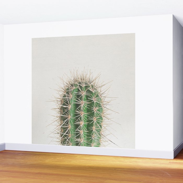 Cactus Wall Mural Gallery Image 2