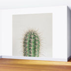 Cactus Wall Mural Gallery Image 2