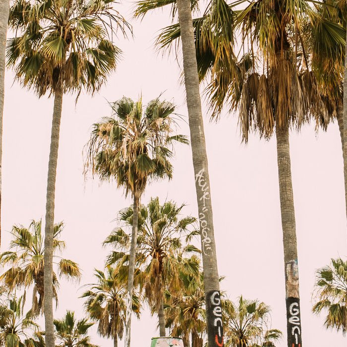 Palm Trees on Venice Beach - Los Angeles California Travel Photography Coffee Mug Gallery Image 2