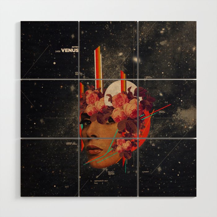 Astrovenus Wood Wall Art Gallery Image 1