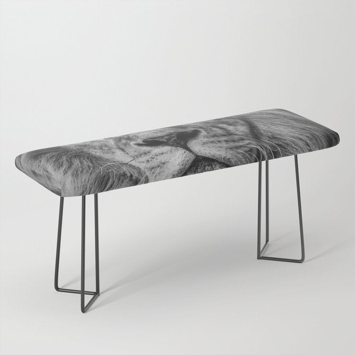 Fierce Lion Bench Gallery Image 1