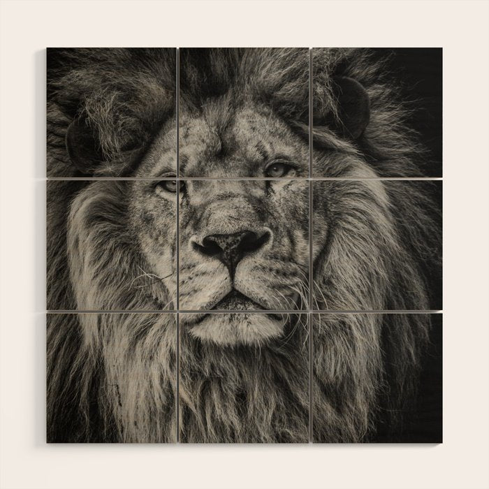 Fierce Lion Wood Wall Art Gallery Image 1