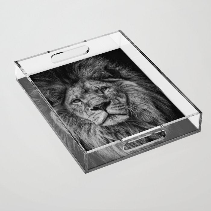 Fierce Lion Acrylic Tray Gallery Image 1