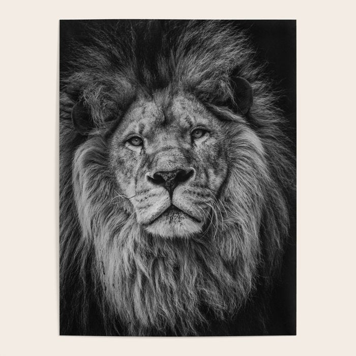 Fierce Lion Poster Gallery Image 4