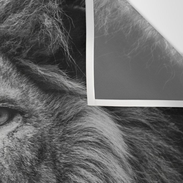 Fierce Lion Wall Tapestry Gallery Image 3