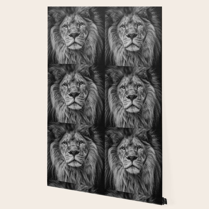 Fierce Lion Wallpaper Gallery Image 2