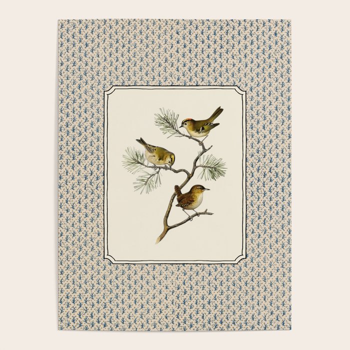 Three Wrens on a Branch Poster Gallery Image 1