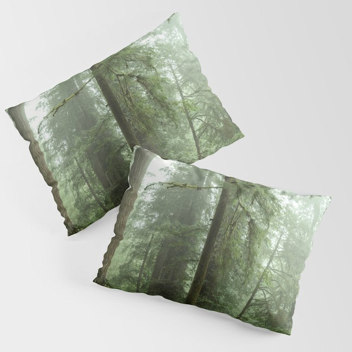 Redwood National Park - Misty Mountain Forest Adventure Pillow Sham Gallery Image 1