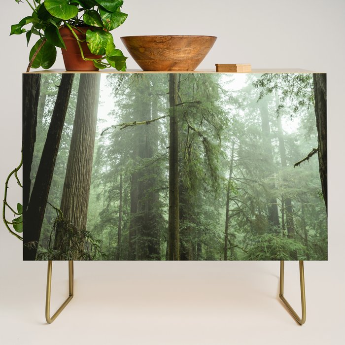 Redwood National Park - Misty Mountain Forest Adventure Credenza Gallery Image 1
