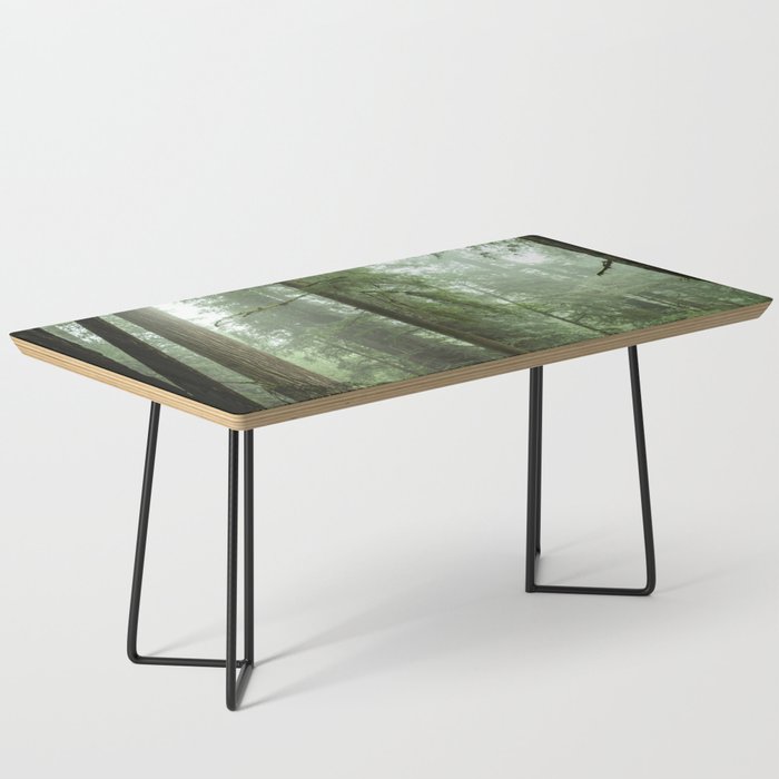 Redwood National Park - Misty Mountain Forest Adventure Coffee Table Gallery Image 1