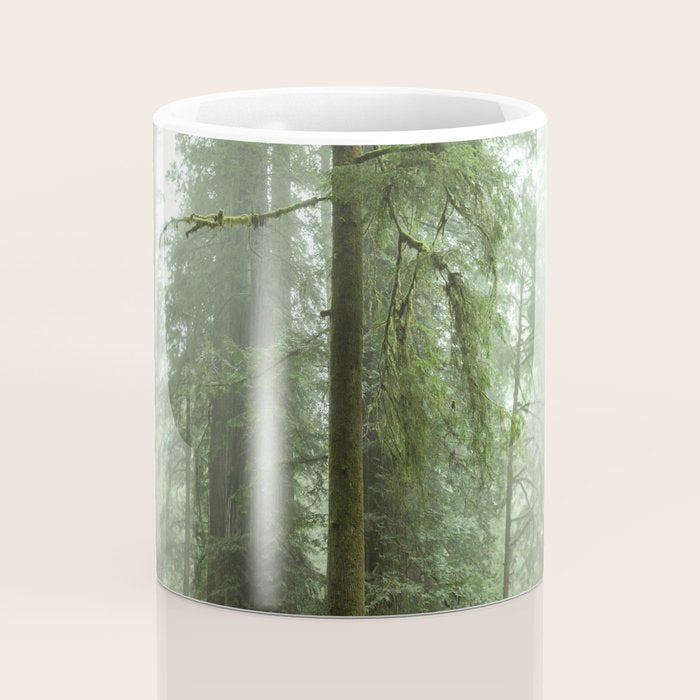 Redwood National Park - Misty Mountain Forest Adventure Coffee Mug Gallery Image 4